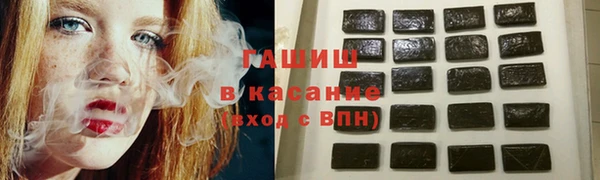 шишки Слюдянка