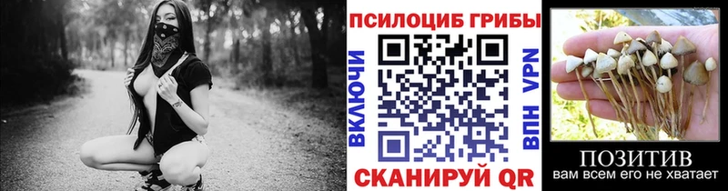 Галлюциногенные грибы GOLDEN TEACHER  Кизилюрт 